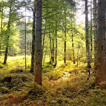 Ferienwohnung - Missen-Wilhams Allgaeu Kültér fotó